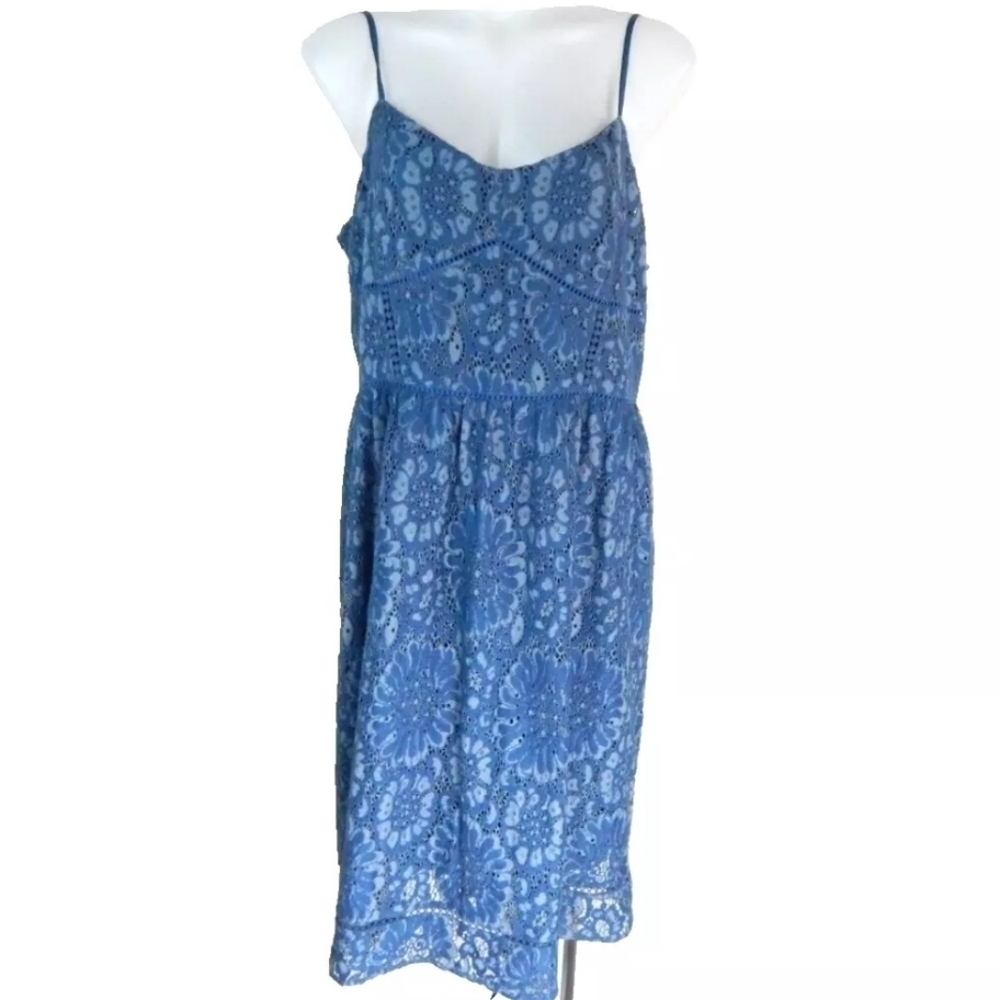 Ann Taylor Loft Blue Floral Lace A-Line Dress